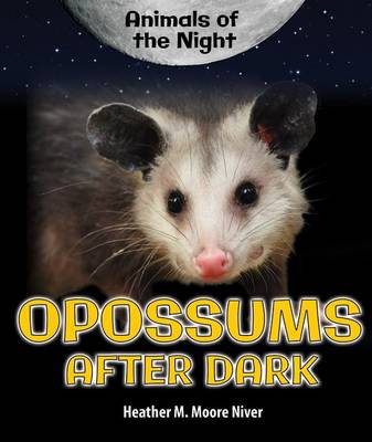 Book cover for Opossums After Dark
