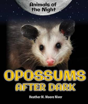 Cover of Opossums After Dark