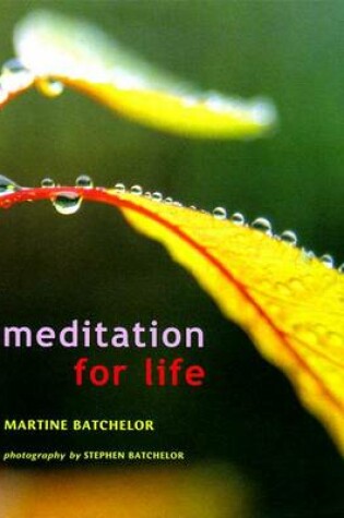 Cover of Meditation for Life