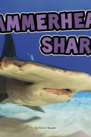 Cover of All About Sharks Hammerhead Sharks