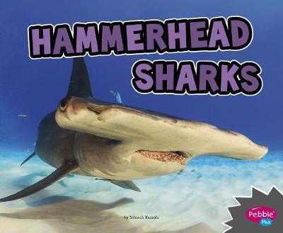 Book cover for All About Sharks Hammerhead Sharks