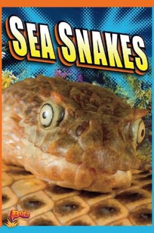 Cover of Sea Snakes