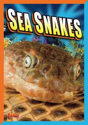 Cover of Sea Snakes