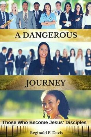 Cover of A Dangerous Journey