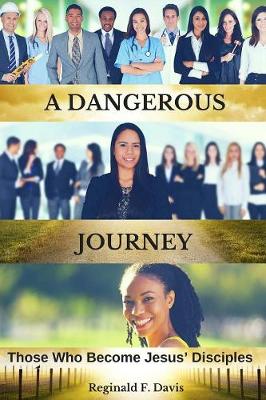 Book cover for A Dangerous Journey