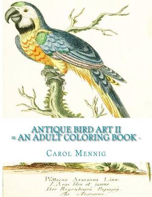 Book cover for Antique Bird Art II: An Adult Coloring Book
