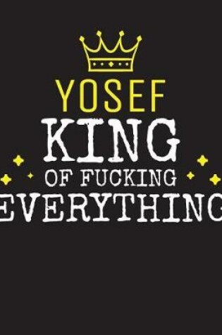 Cover of YOSEF - King Of Fucking Everything