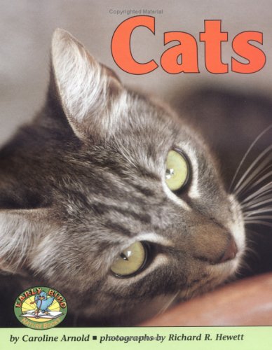 Book cover for Cats