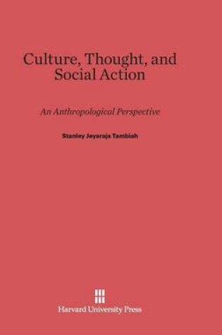 Cover of Culture, Thought, and Social Action