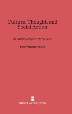 Book cover for Culture, Thought, and Social Action