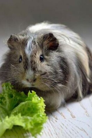 Cover of Cute Brown Guinea Pig Pet with a Lettuce Leaf Journal