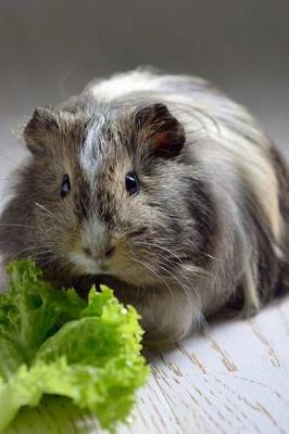 Book cover for Cute Brown Guinea Pig Pet with a Lettuce Leaf Journal