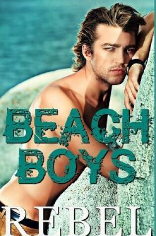 Cover of Beach Boys