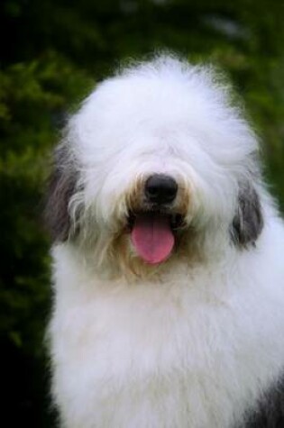 Cover of The Old English Sheepdog Dog Journal