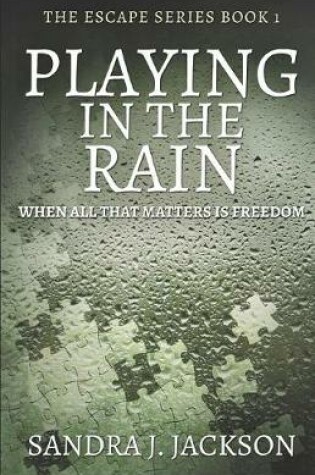 Cover of Playing In The Rain