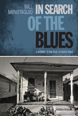 Book cover for In Search of the Blues