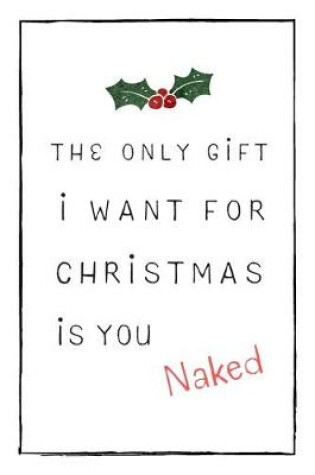 Cover of The Only Gift I Want For Christmas Is You Naked