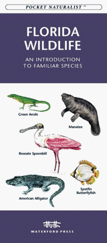 Book cover for Florida Wildlife