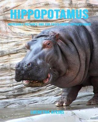 Book cover for Hippopotamus