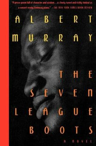 Cover of The Seven League Boots