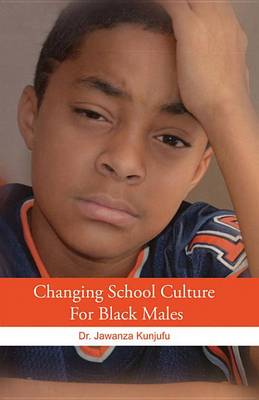 Book cover for Changing School Culture for Black Males