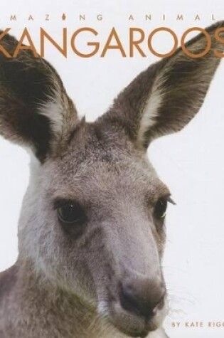 Cover of Kangaroos