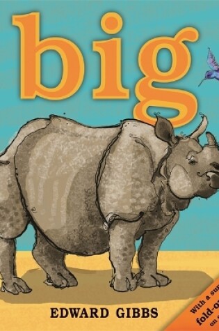 Cover of Big