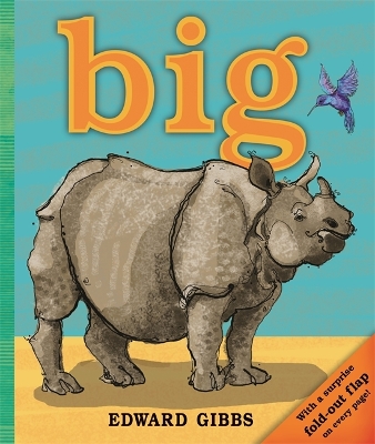 Book cover for Big