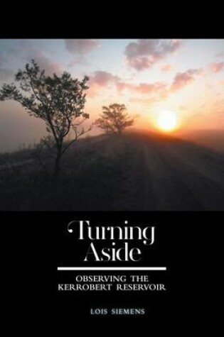 Cover of Turning Aside