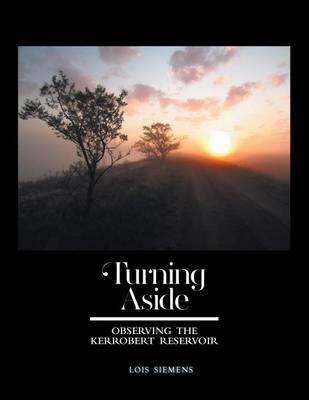 Cover of Turning Aside