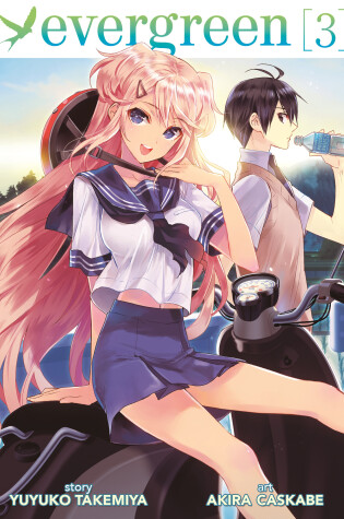 Cover of Evergreen Vol. 3