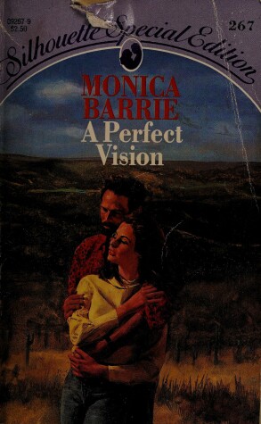 Book cover for A Perfect Vision