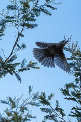 Cover of Bird in Flight Journal