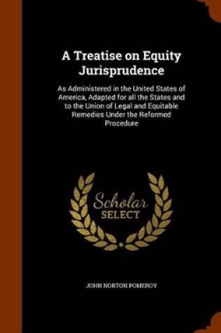 Cover of A Treatise on Equity Jurisprudence