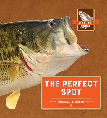 Book cover for The Perfect Spot