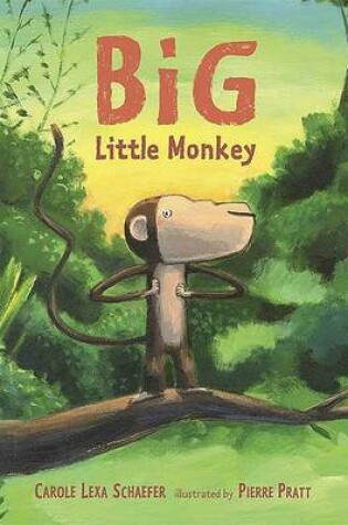 Cover of Big Little Monkey