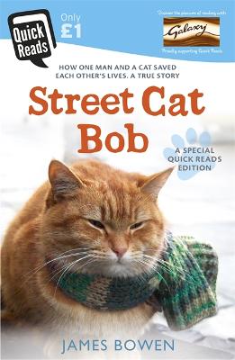 Book cover for Street Cat Bob