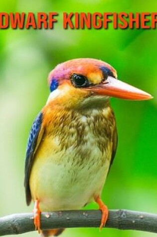 Cover of Dwarf Kingfisher