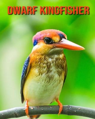 Book cover for Dwarf Kingfisher