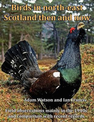 Book cover for Birds in North-east Scotland Then and Now