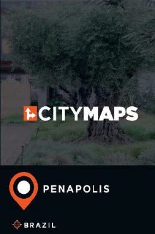 Cover of City Maps Penapolis Brazil