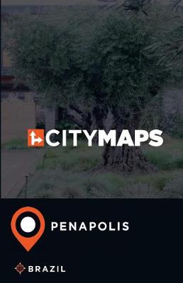 Book cover for City Maps Penapolis Brazil