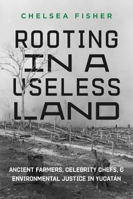 Book cover for Rooting in a Useless Land