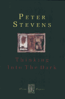 Book cover for Thinking into the Dark