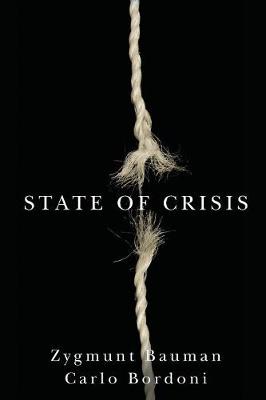 Book cover for State of Crisis