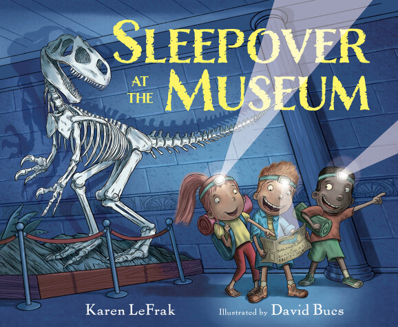Book cover for Sleepover at the Museum