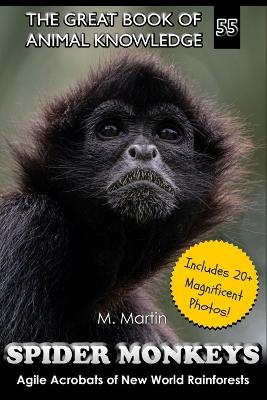 Book cover for Spider Monkeys