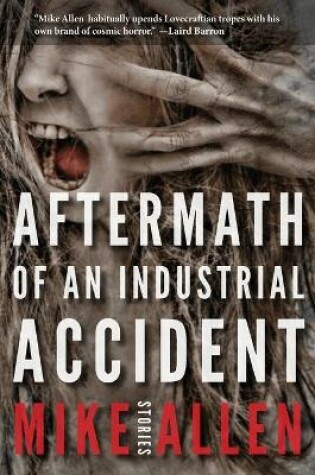 Cover of Aftermath of an Industrial Accident