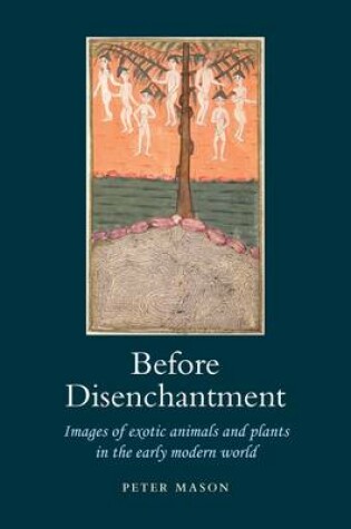 Cover of Before Disenchantment