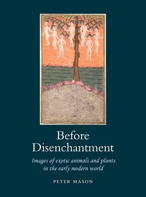 Book cover for Before Disenchantment